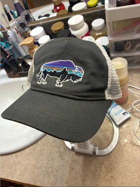 Patagonia Buffalo Patch Mesh Cap
